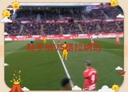 开云体育官网-格拉纳达客场逆转的简单介绍