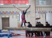 开云下载-体操赛场上精彩纷呈动作惊艳的简单介绍