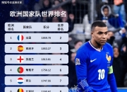 开云体育中国-关于欧预赛淘汰赛形势严峻，争夺激烈紧迫的信息