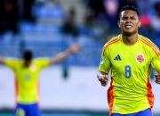 开云体育官网-南美球队赢得激动人心的胜利，晋级下一轮的简单介绍