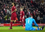 开云体育-包含香港举行乒乓球比赛，曼联表现胶着的词条