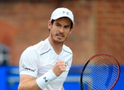 开云体育app-澳大利亚网球队逆转英国网球队，穆雷高光表现的简单介绍