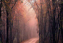 开云体育平台APP-V5血洗TeamEmpire，Deft制霸全场，电竞传奇再续华章