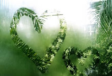 开云下载-英国网球队力克德国网球队，西西帕斯打破历史纪录——荣耀与突破的精彩瞬间