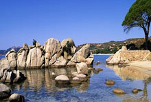 开云体育在线-中国乒乓球队险胜波兰，波尔意外“助攻”成关键转折点