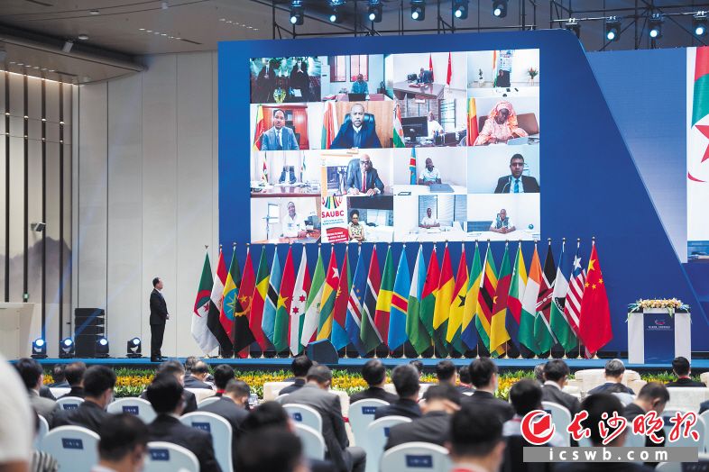 南非队夺金受邀回国接受盛大欢迎 南非队夺金受邀回国接受盛大欢迎