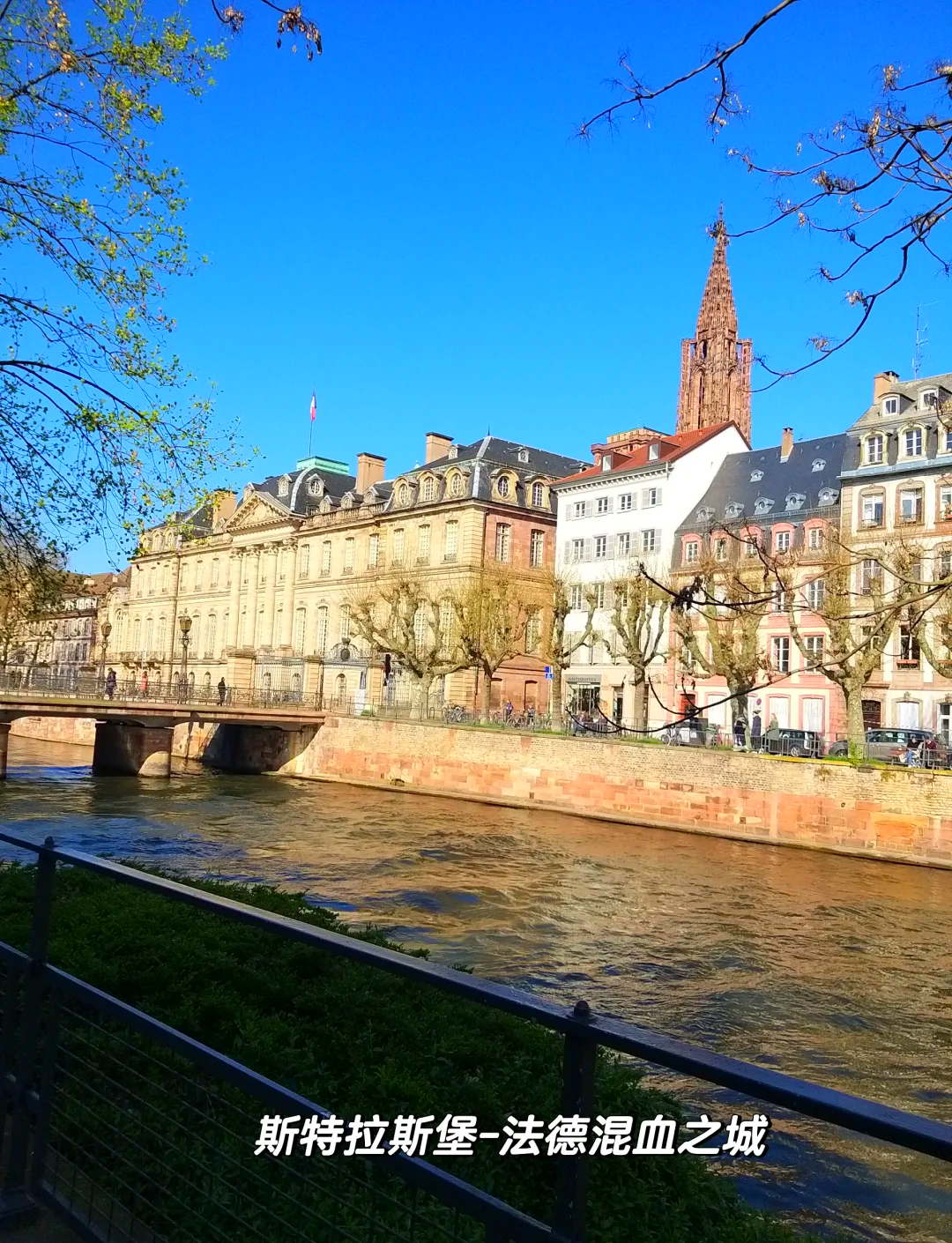 关于斯特拉斯堡坐镇主场,客场战平南特的信息 关于斯特拉斯堡坐镇主场,客场战平南特的信息