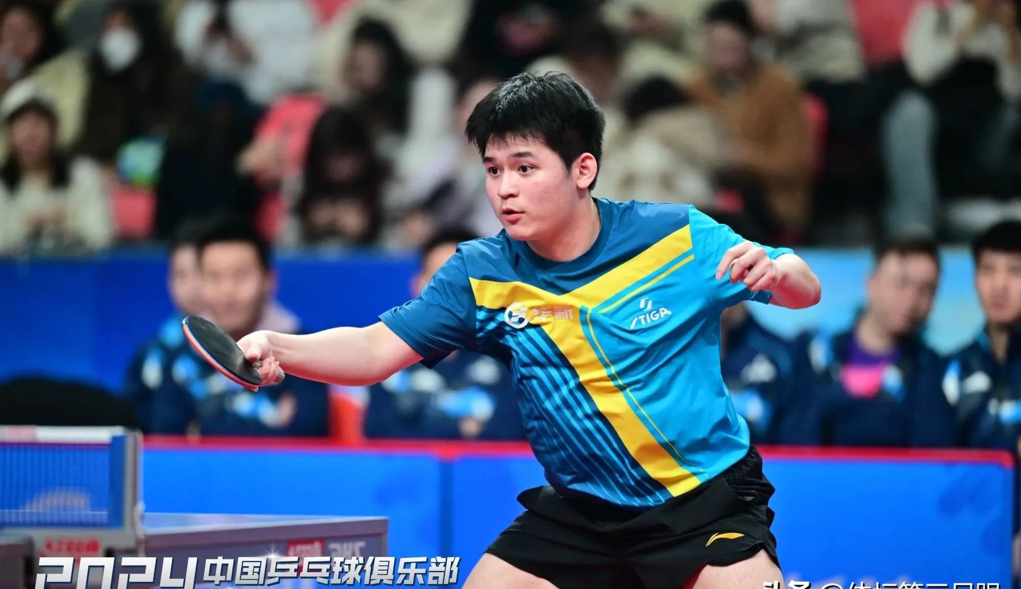 关于法国乒乓球队力克日本乒乓球队,奥恰洛夫送出助攻的信息 关于法国乒乓球队力克日本乒乓球队,奥恰洛夫送出助攻的信息