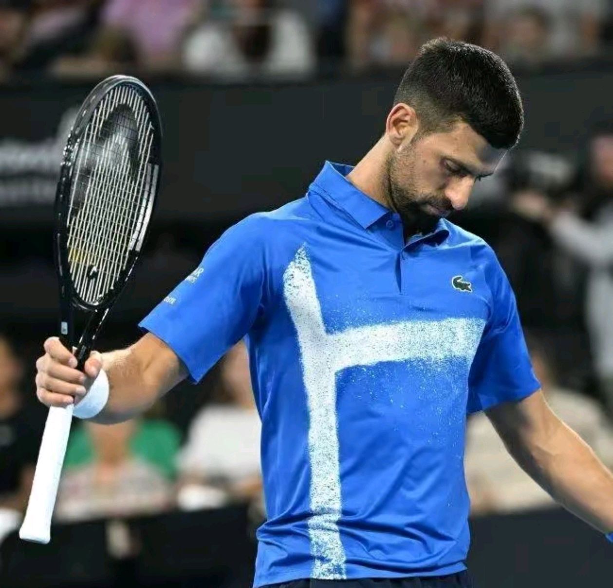 包含英国网球队完胜法国网球队，德约科维奇高光表现的词条