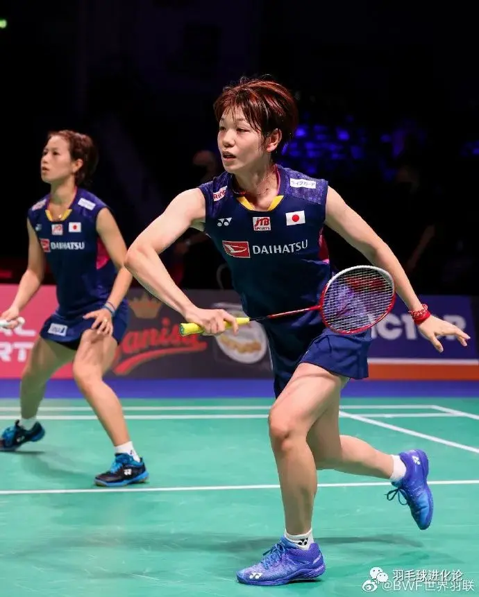 丹麦羽毛球队翻盘法国羽毛球队，马琳统治全场的简单介绍